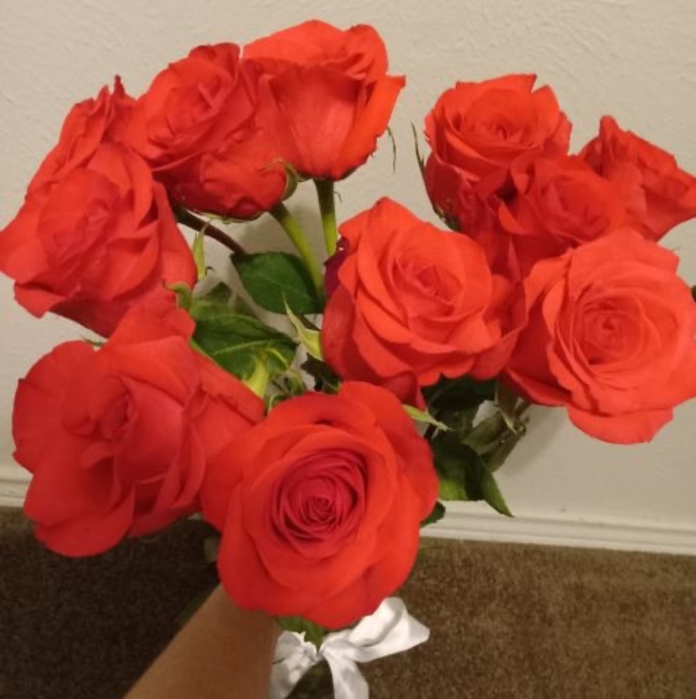 Meet your Posher, Lorraine